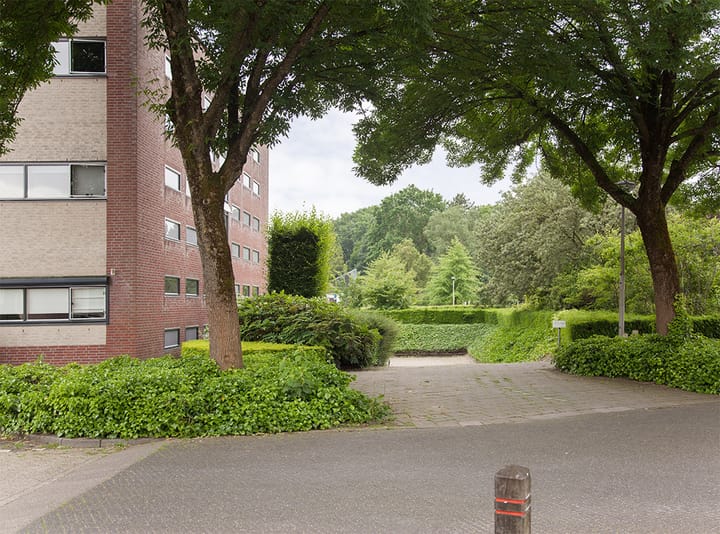 Foto 36 van Aalscholver 12