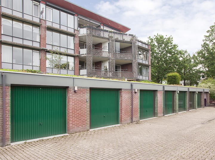 Foto 3 van Aalscholver 12