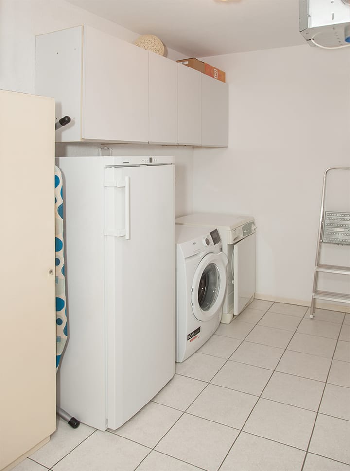 Foto 35 van Aalscholver 12