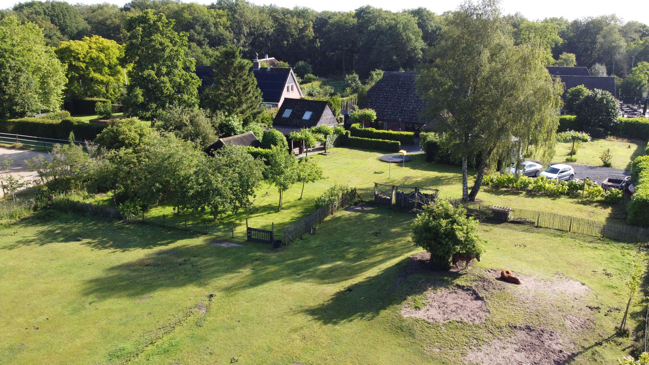 Foto 3 van Schipborgerweg 1