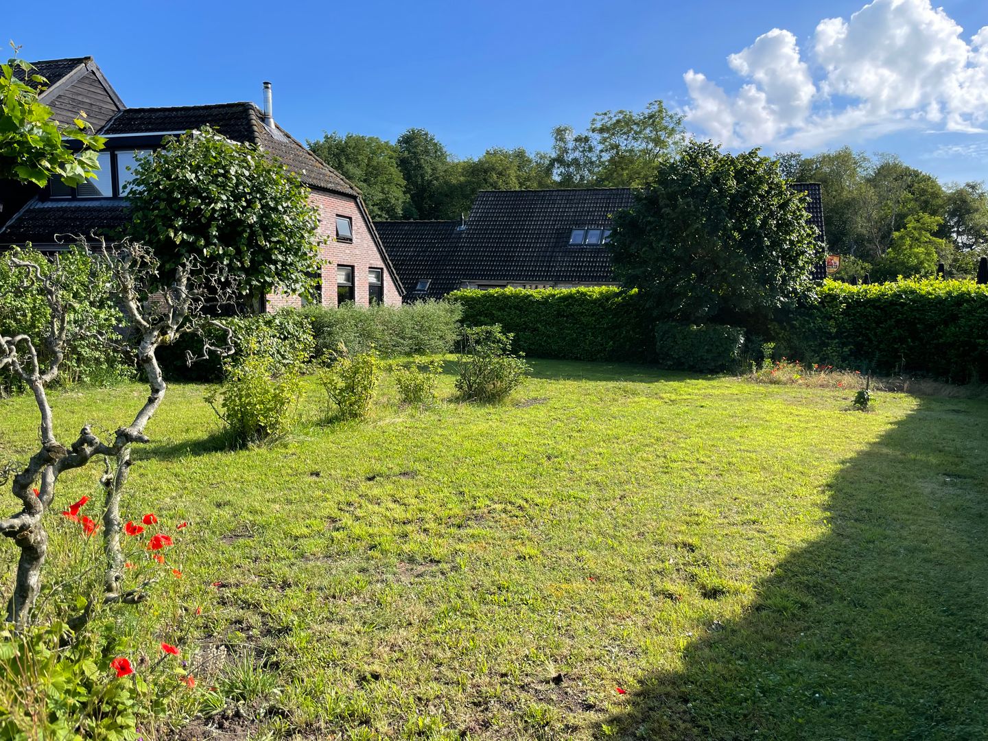 Foto 34 van Schipborgerweg 1