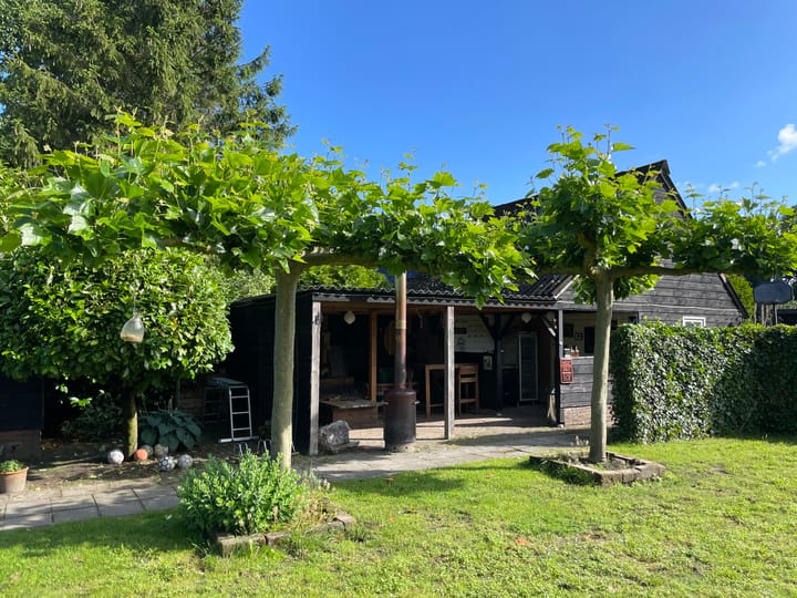 Foto 35 van Schipborgerweg 1