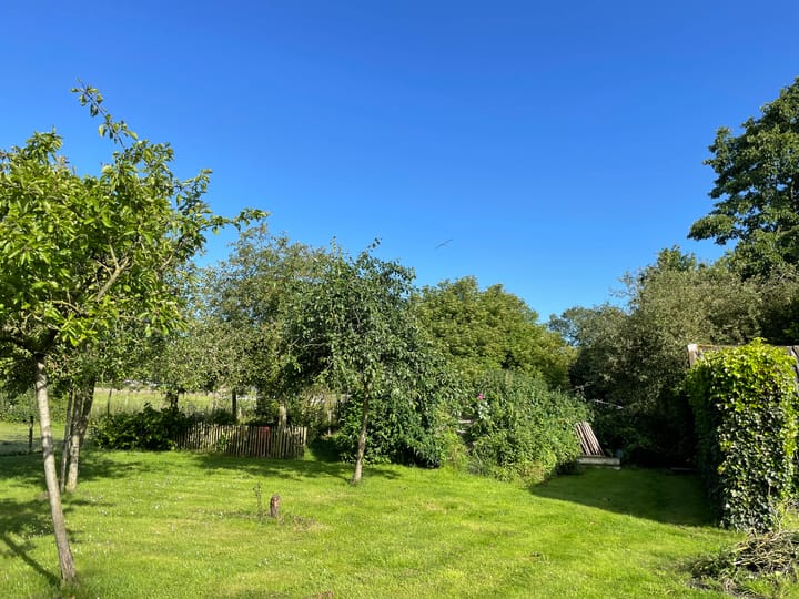 Foto 36 van Schipborgerweg 1