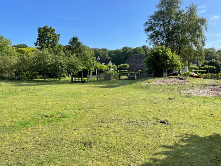 Foto 37 van Schipborgerweg 1