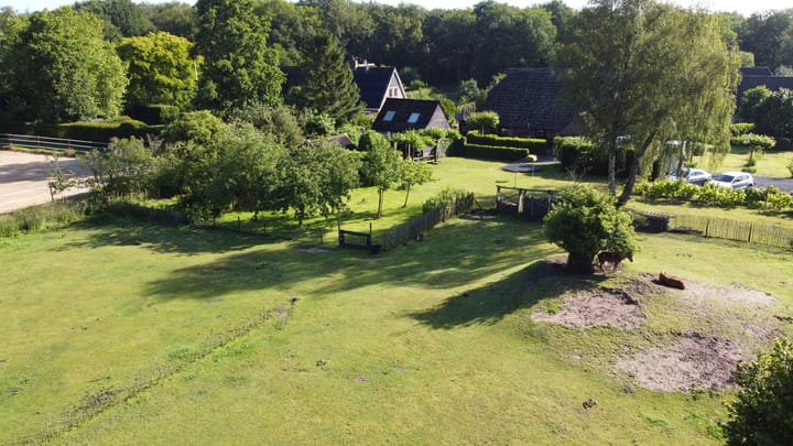 Foto 41 van Schipborgerweg 1