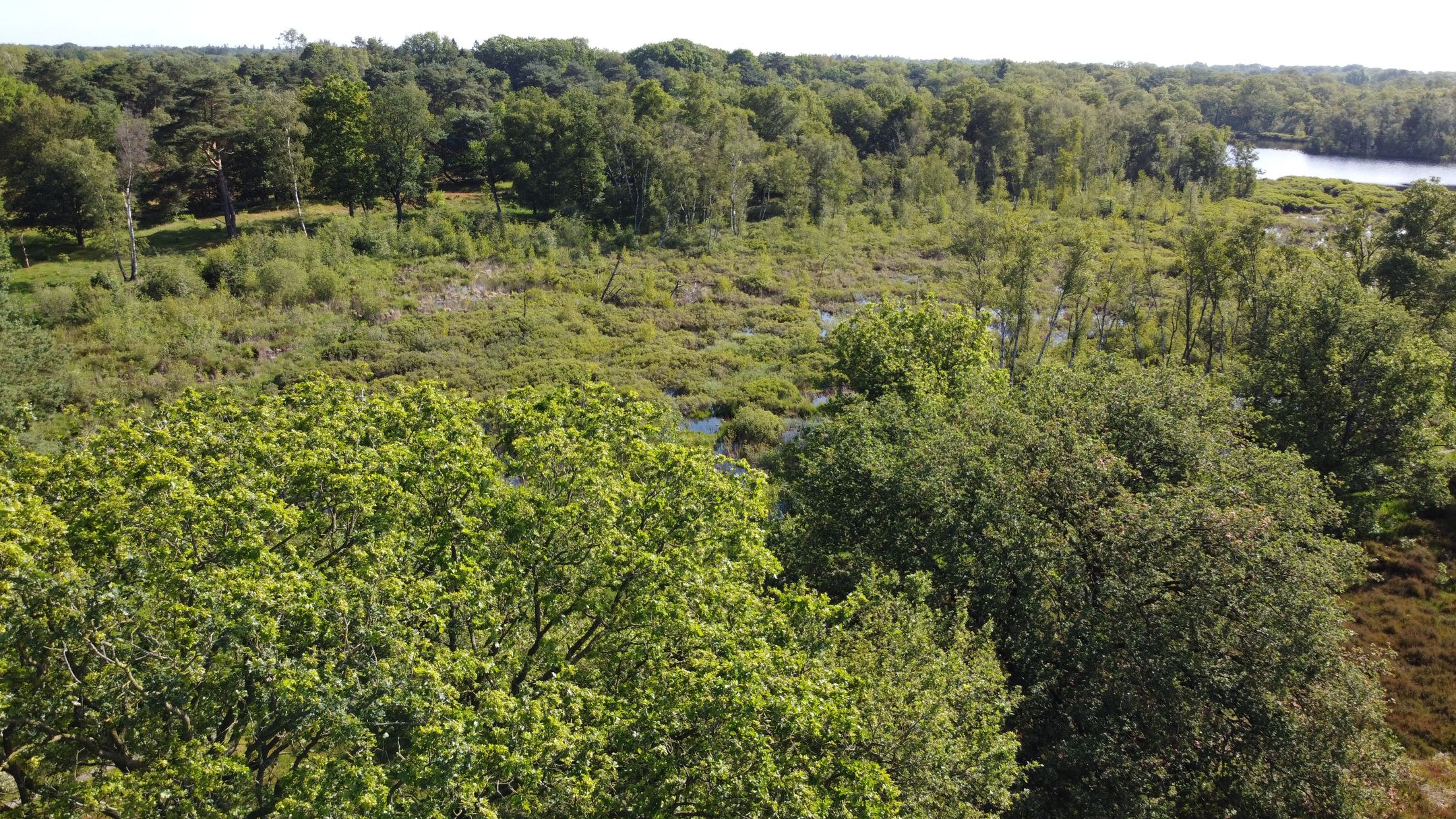 Foto 48 van Schipborgerweg 1