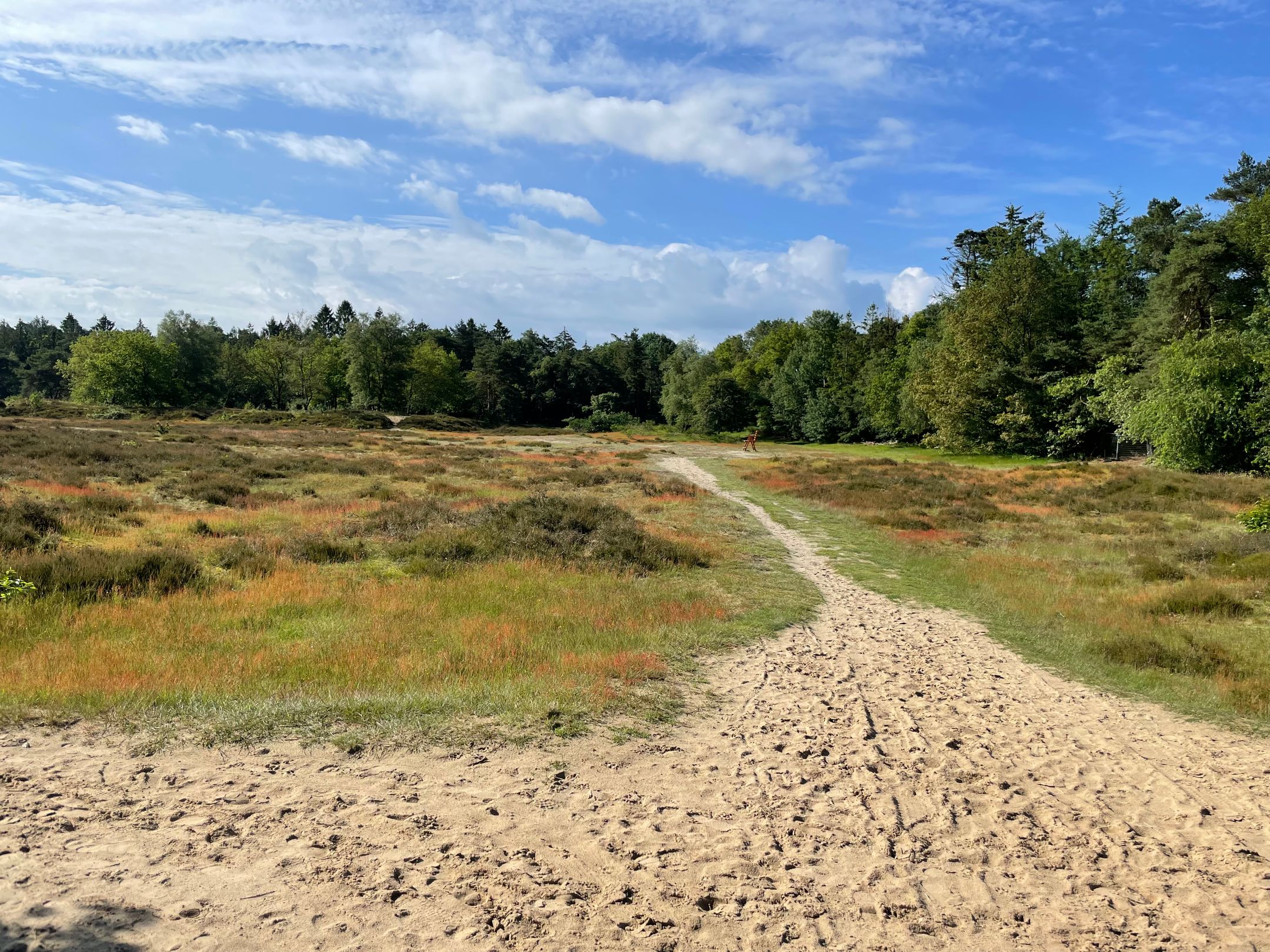 Foto 51 van Schipborgerweg 1