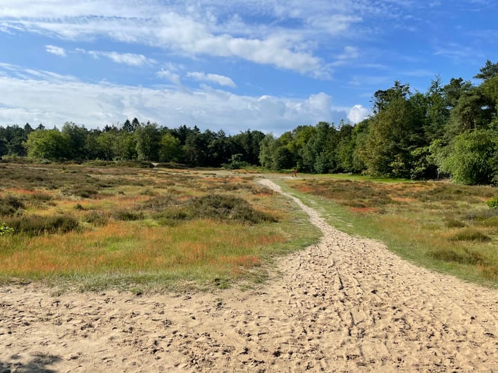 Foto 51 van Schipborgerweg 1