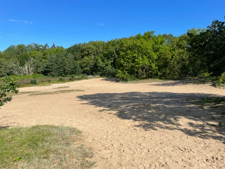 Foto 52 van Schipborgerweg 1