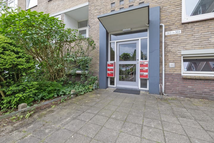 Foto 4 van Wolvenlaan 301