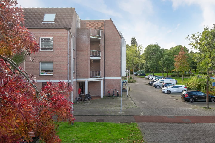 View photo 20 of Schelfhorst 1-A