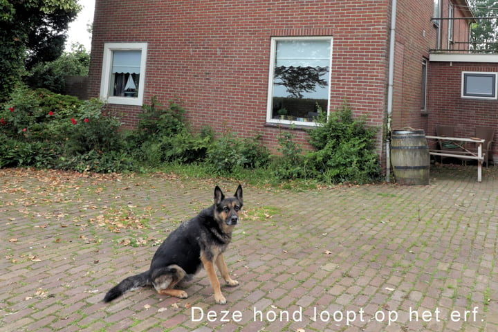 Bekijk foto 4 van Zuiderzeeweg 8