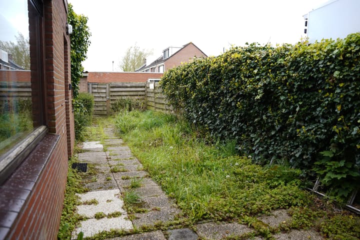 Foto 36 van Jupiter 60