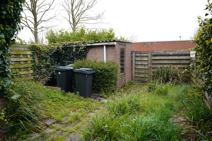 Foto 38 van Jupiter 60