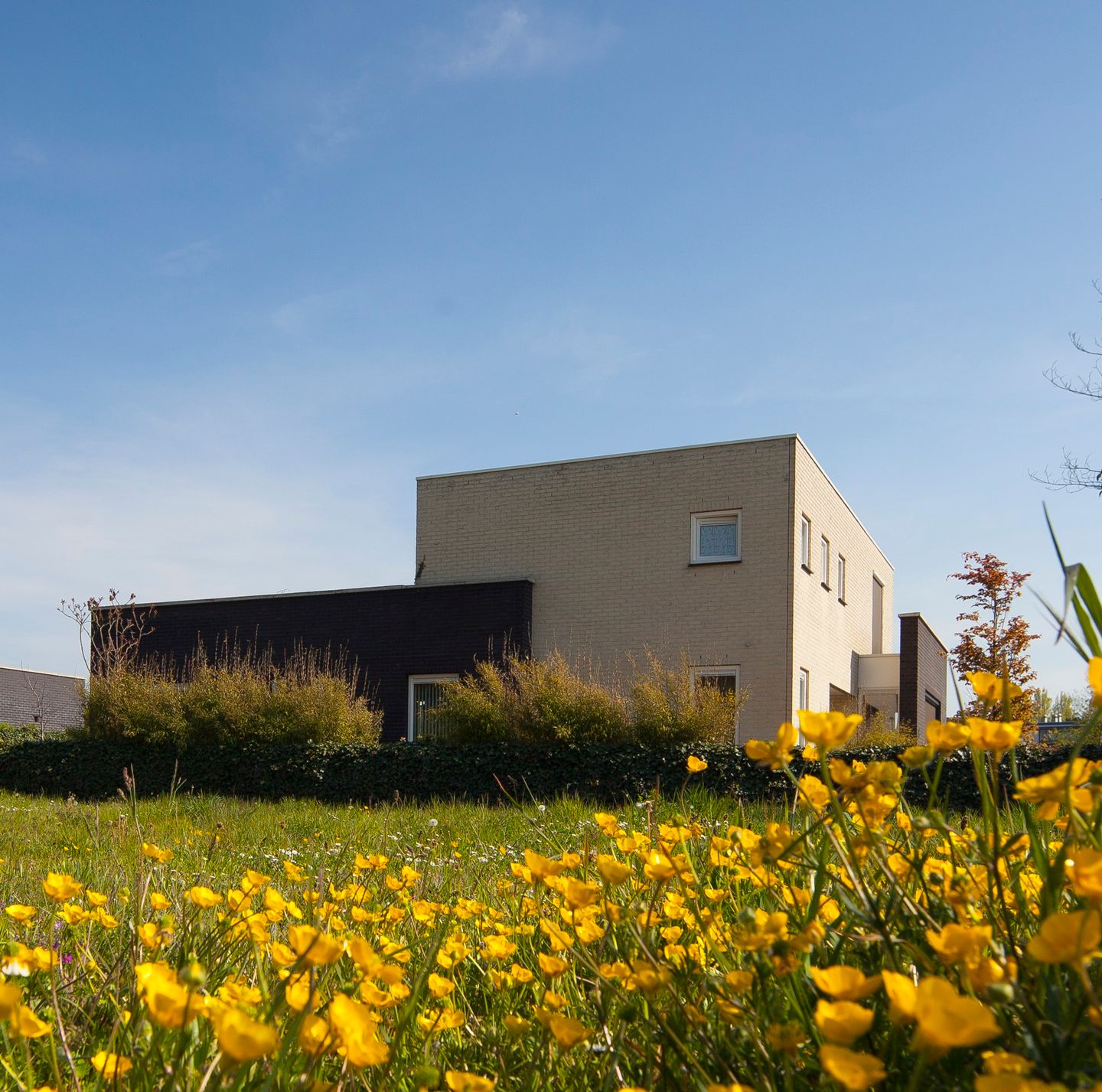 Photo 4 of Edisonpark - kavel 10