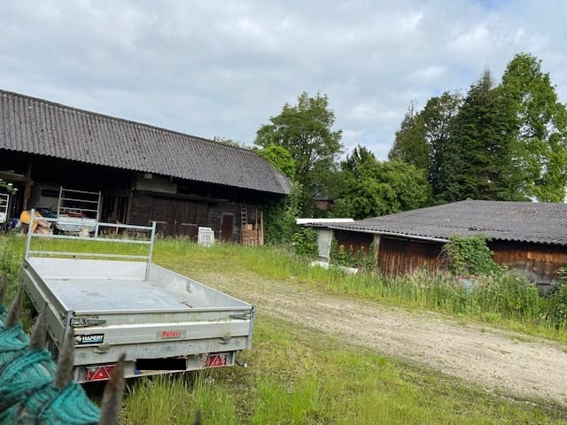 Foto 3 van Rogstraat