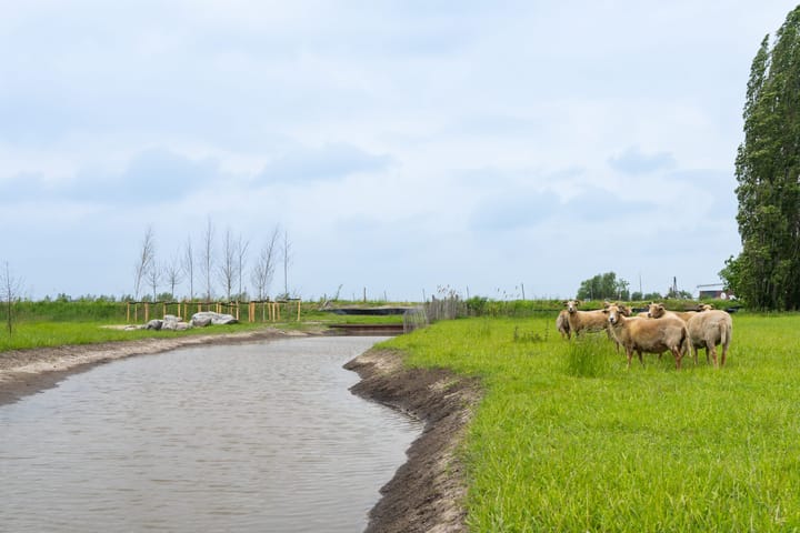 Photo 11 of 't Suyt 2 | Twee-onder-een-kapwoning (Bouwnr. C2)