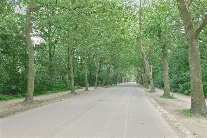 Bekijk foto 40 van Vondelkerkstraat 16-H