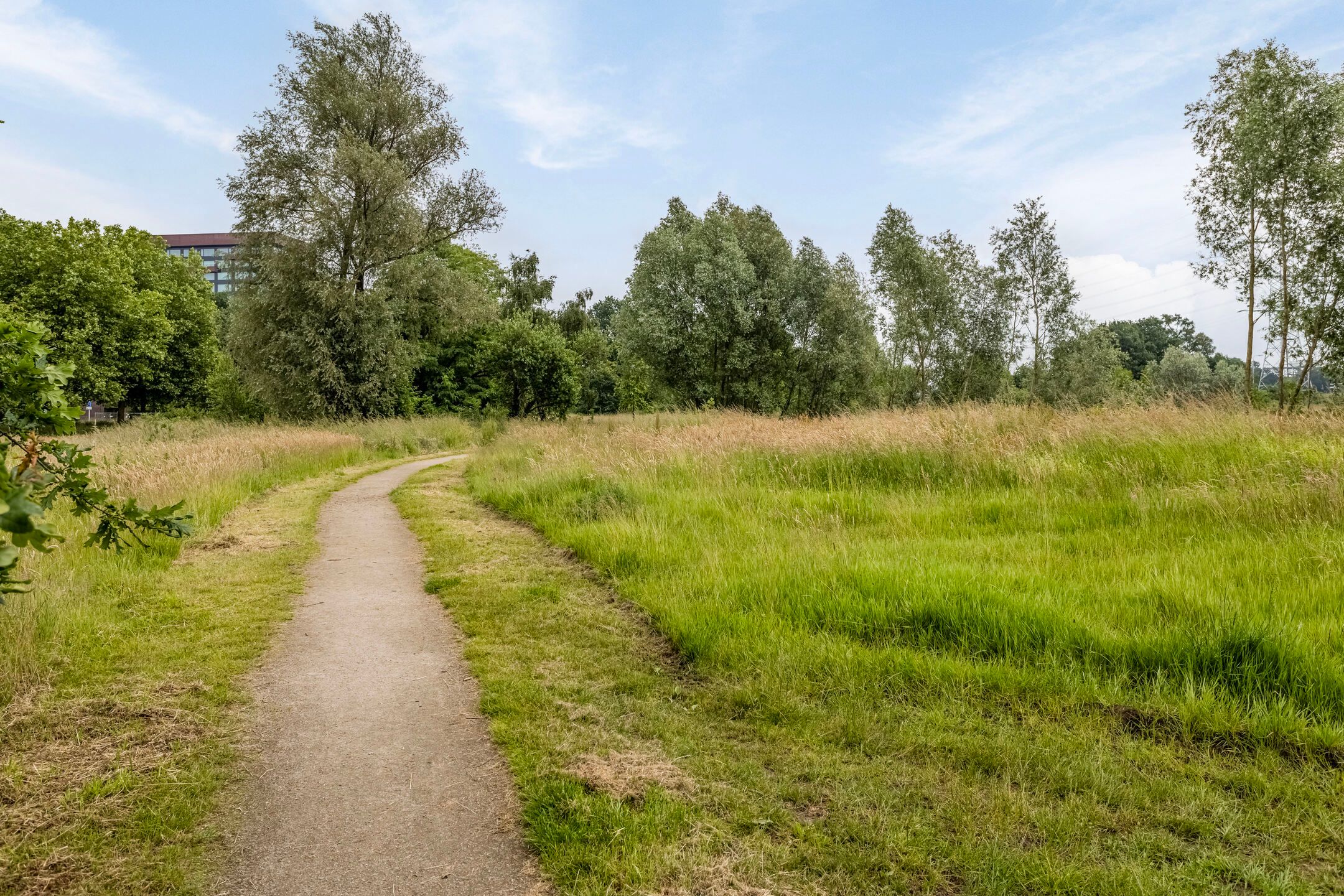 Foto 48 van Rottumerooglaan 5