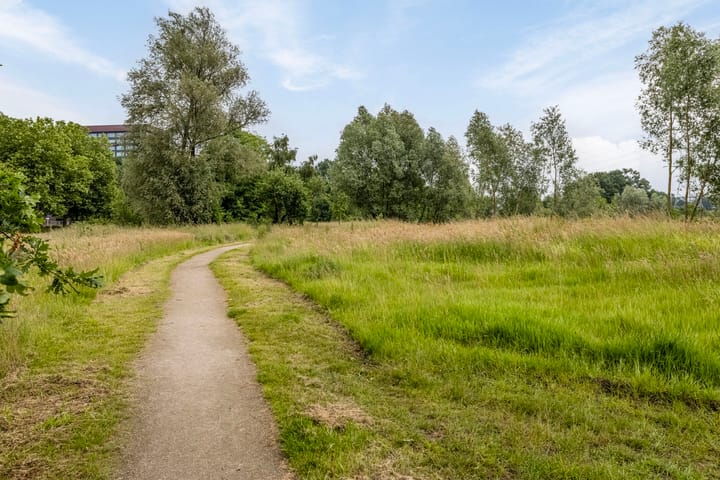 Photo 48 of Rottumerooglaan 5