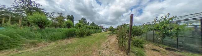 Bekijk 360° foto van Achtertuin van Dorpsstraat 48