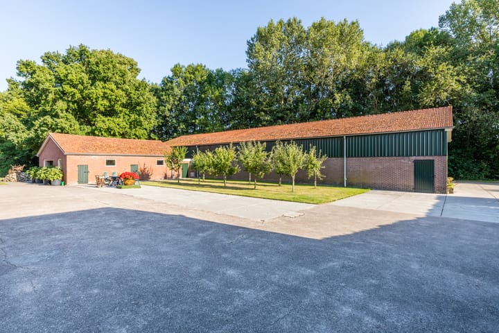 Foto 51 van Beuningstraat 6