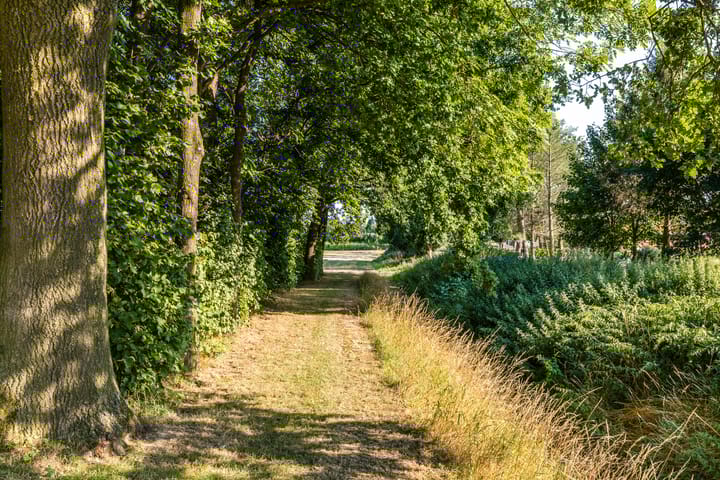 Foto 67 van Beuningstraat 6