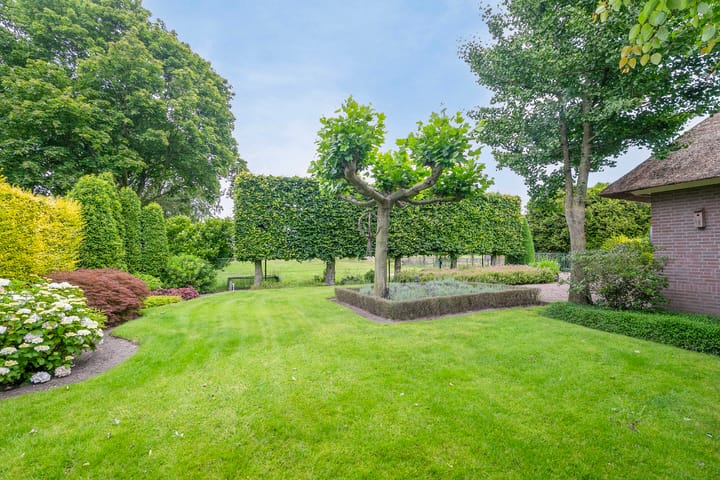 Photo 49 of Burgemeester van Erpstraat 49