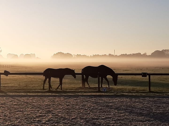 Foto 89 van Hommelstraat 22