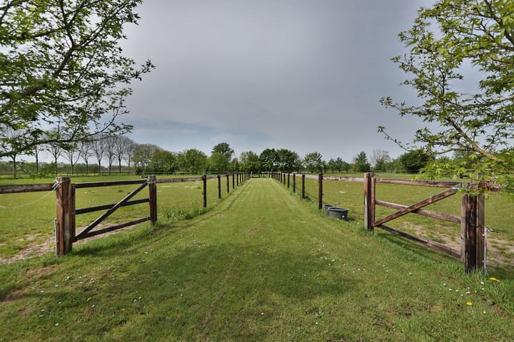 Foto 95 van Hommelstraat 22