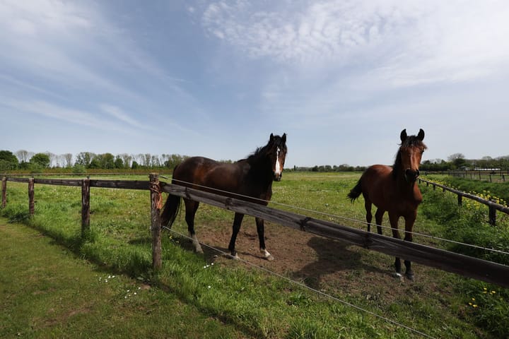 Foto 88 van Hommelstraat 22