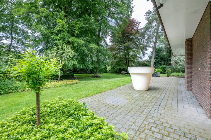 Foto 49 van Exdel 38