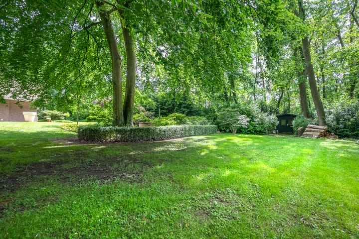 Foto 51 van Exdel 38