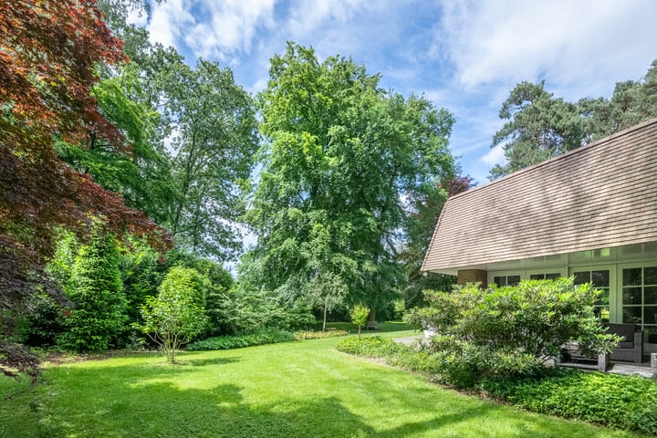 Foto 43 van Exdel 38