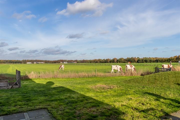 Bekijk foto 58 van Pakopseweg 1