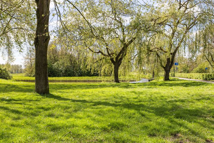 Bekijk foto 4 van Kraanvogellaan 53