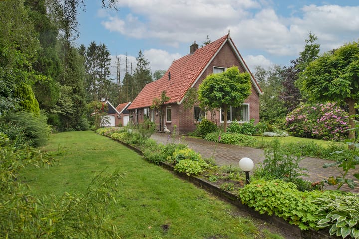 undefined main image