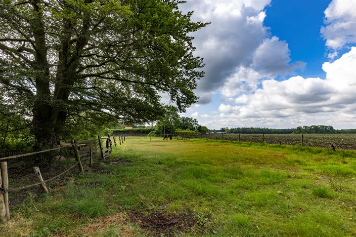 Bekijk foto 45 van Hoogeindseweg 20