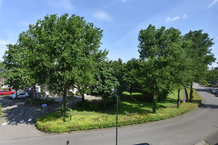 View photo 26 of Roerdomp 58