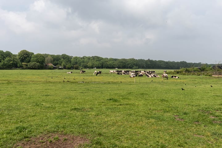 Bekijk foto 45 van Duin- en Kruidbergerweg 78