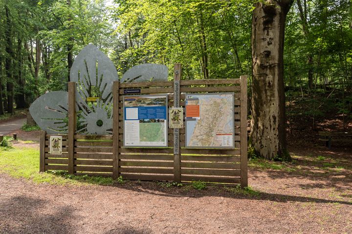 Bekijk foto 47 van Duin- en Kruidbergerweg 78