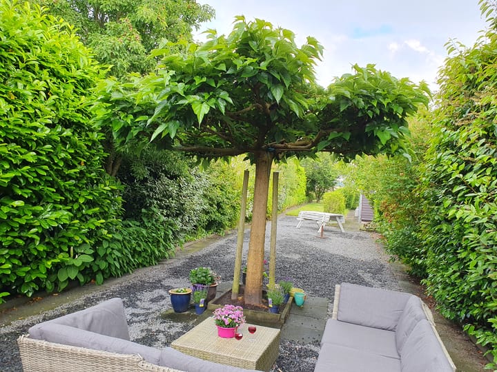 Foto 2 van Dorpsstraat 232