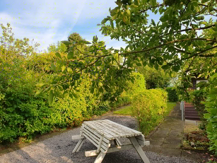 Foto 26 van Dorpsstraat 232