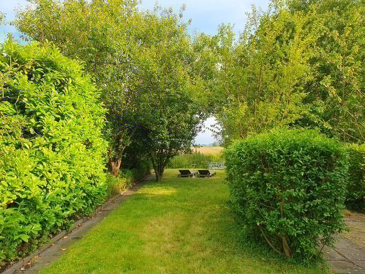 Foto 27 van Dorpsstraat 232