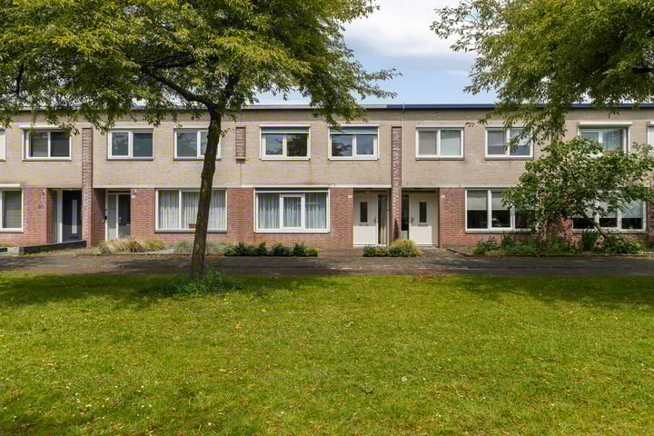 Bekijk foto 1 van Boomleeuwerik 16