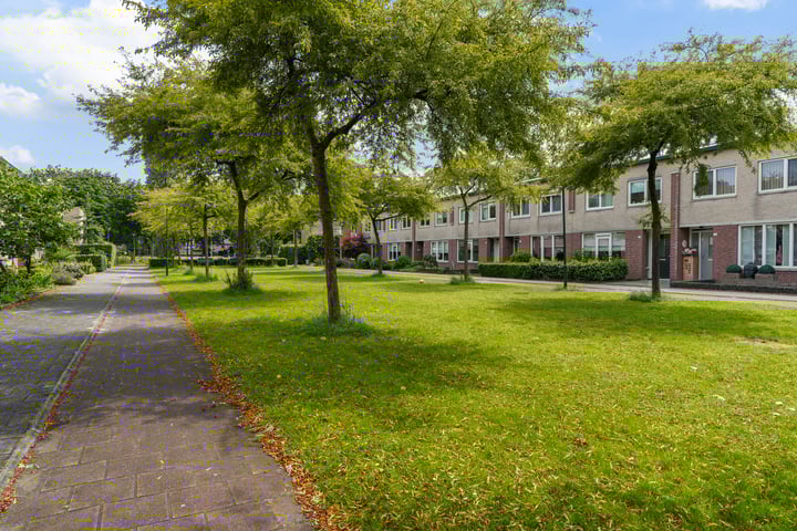 Bekijk foto 2 van Boomleeuwerik 16