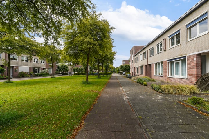 Bekijk foto 3 van Boomleeuwerik 16