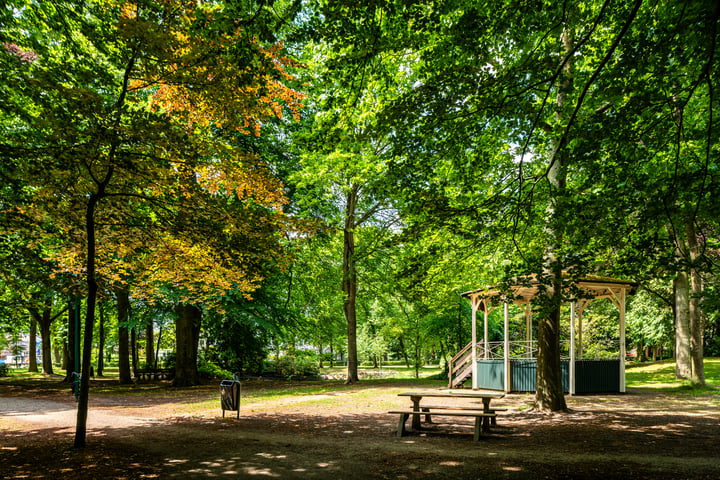 Bekijk foto 32 van Tesselschadelaan 63