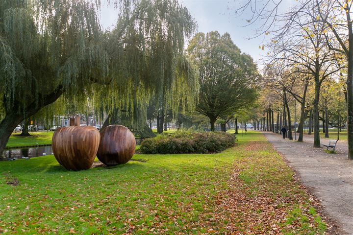 Bekijk foto 16 van Henegouwerlaan 58-E