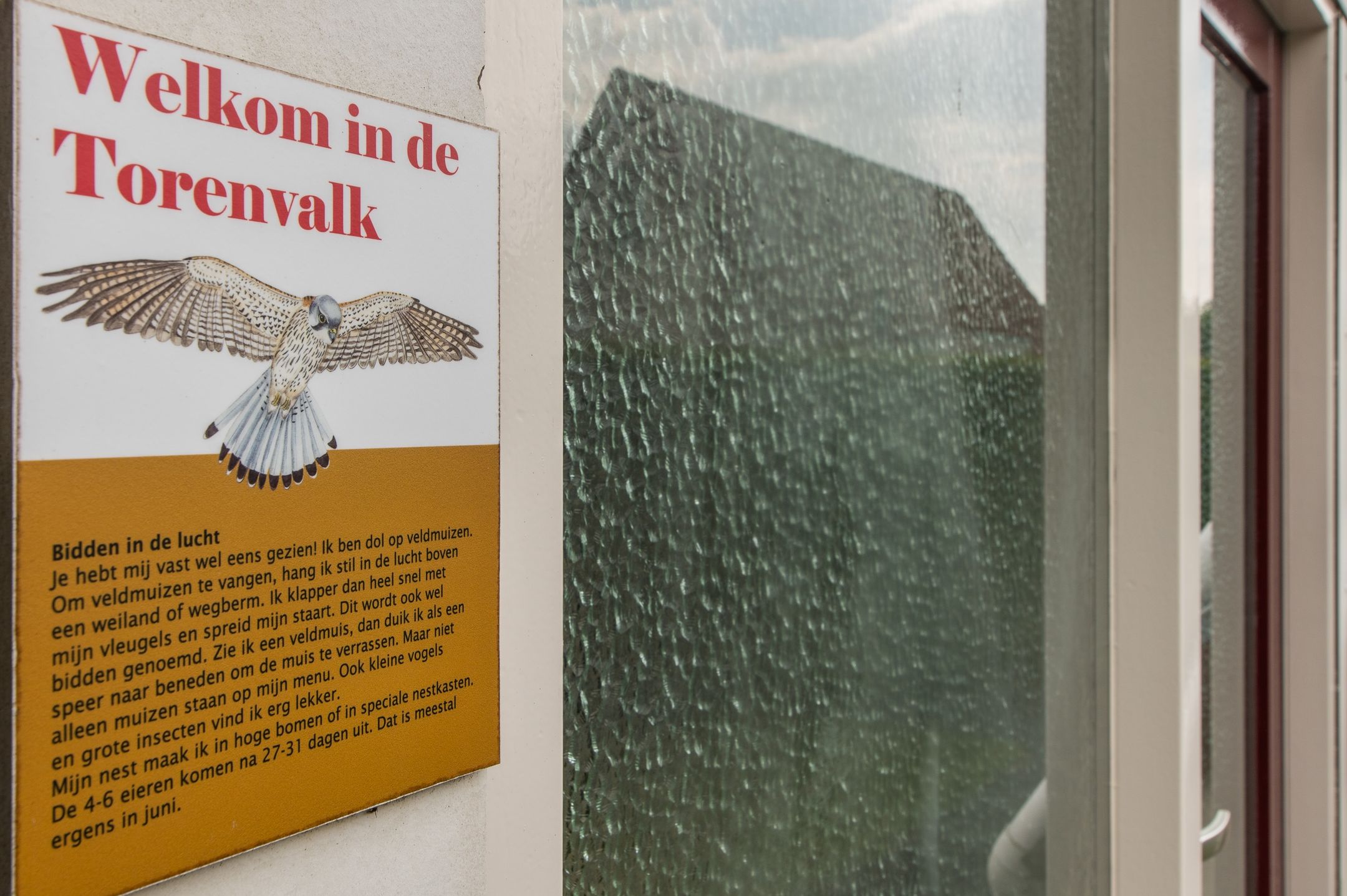 Foto 9 van Het Zwiggelterveld 108